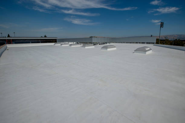 Best Solar Panel Roofing Installation  in Jamul, CA