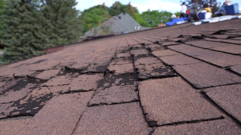 Best Roof Moss and Algae Removal  in Jamul, CA