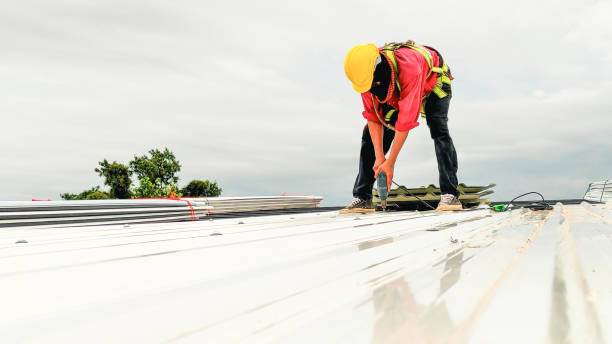 Best Cold Roofs  in Jamul, CA