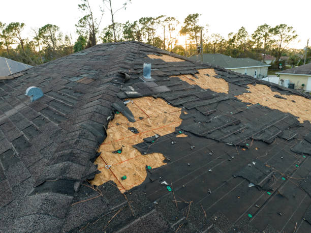 Roof Coating Services in Jamul, CA