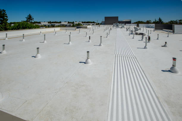 Best Roof Waterproofing  in Jamul, CA